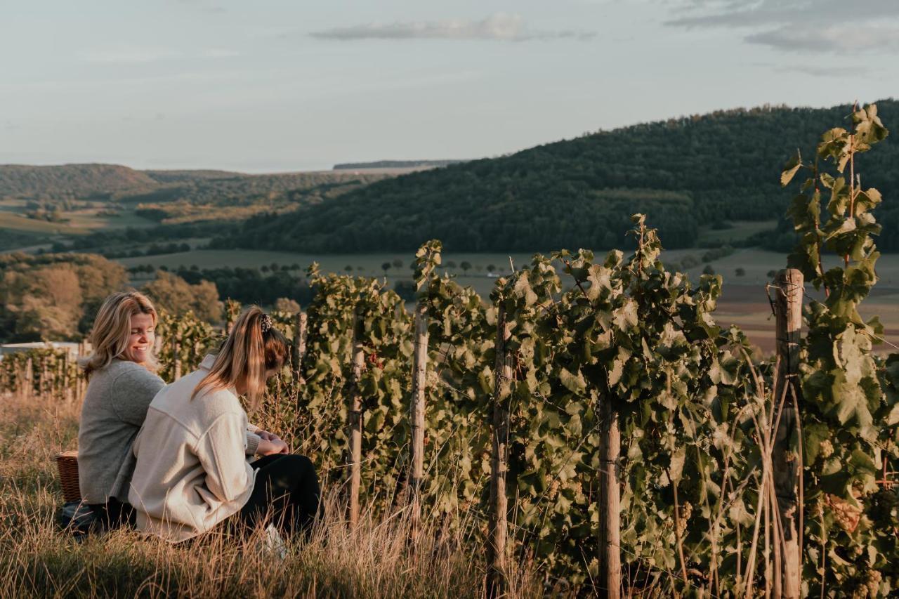 Weingut Und Gastehaus Holger Alt Hotel Monzingen Екстериор снимка