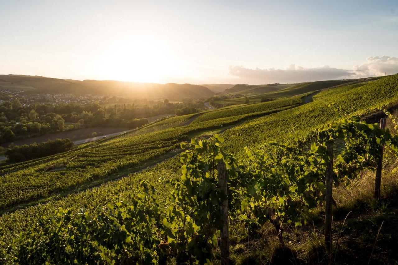 Weingut Und Gastehaus Holger Alt Hotel Monzingen Екстериор снимка