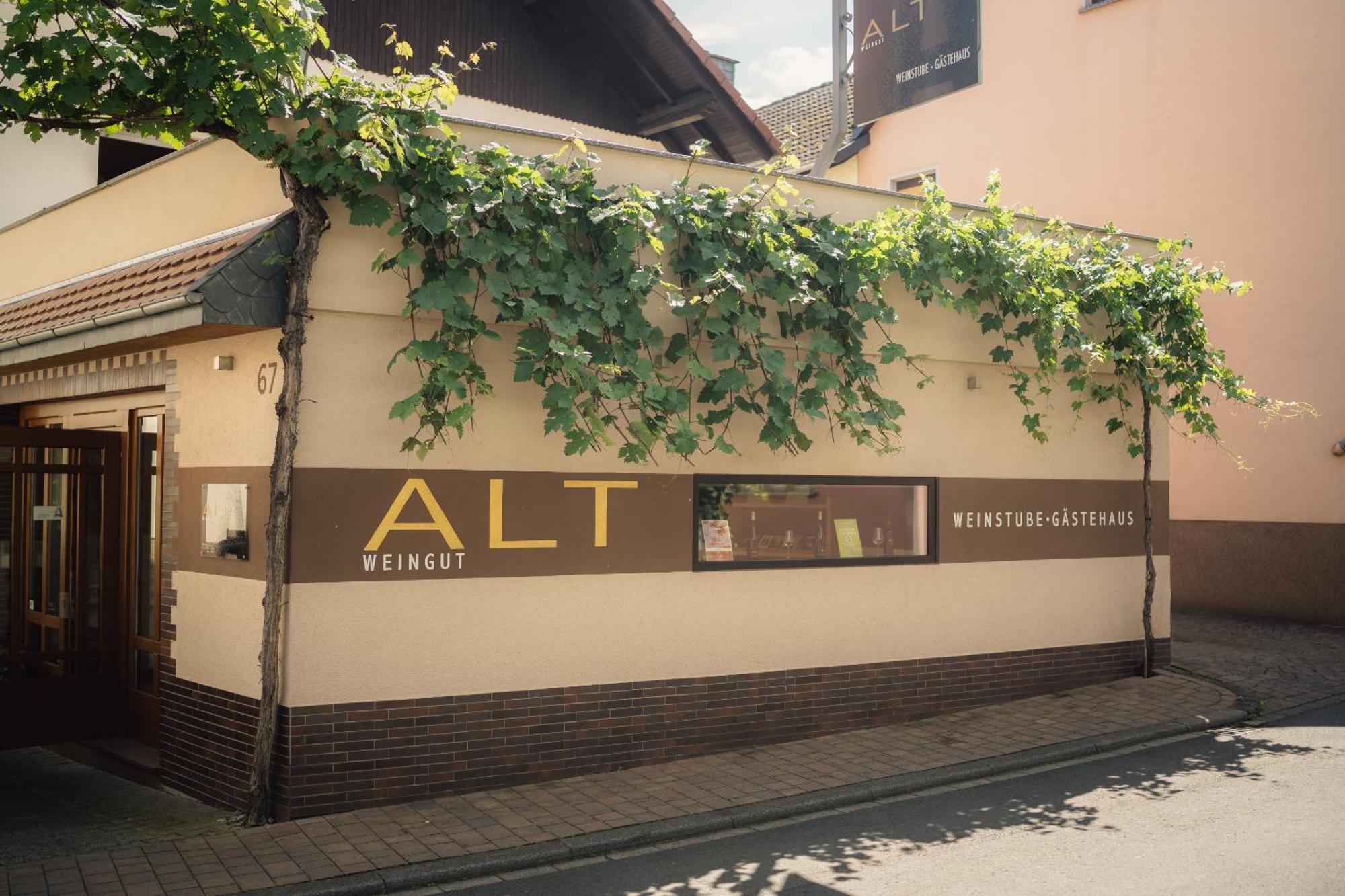 Weingut Und Gaestehaus Holger Alt Monzingen Екстериор снимка