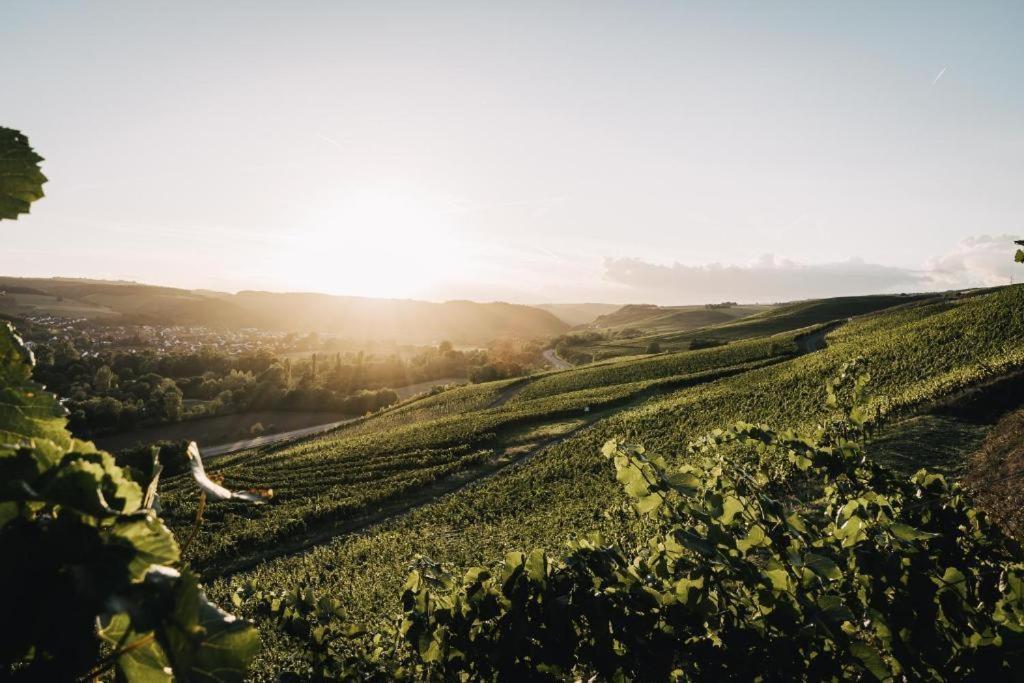 Weingut Und Gaestehaus Holger Alt Monzingen Екстериор снимка